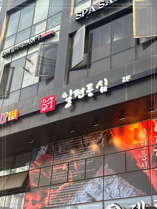 일편등심 이미지