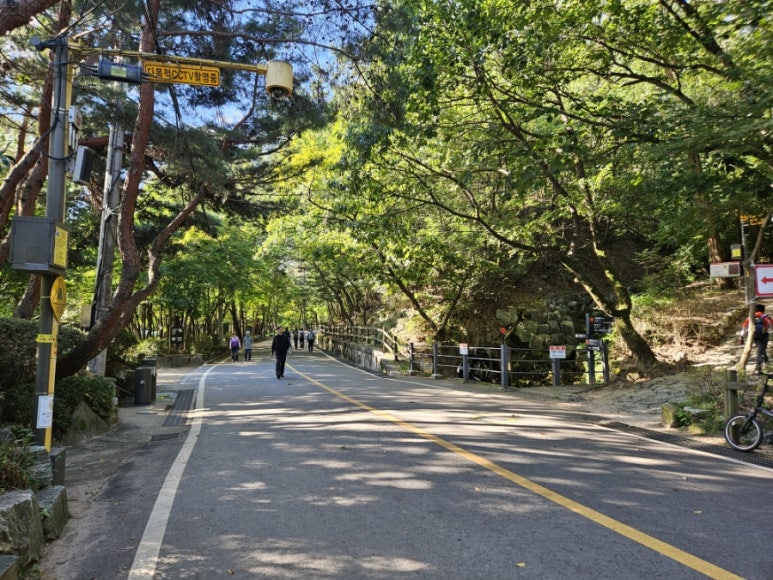 관악산 계곡 캠핑장 이미지