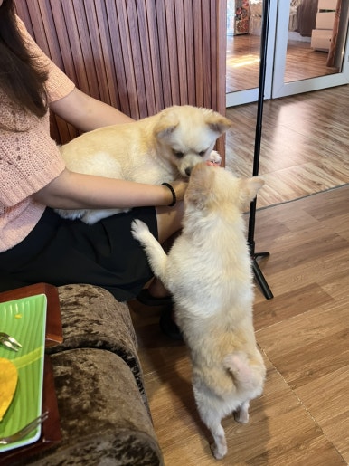 더콩하우스 이미지