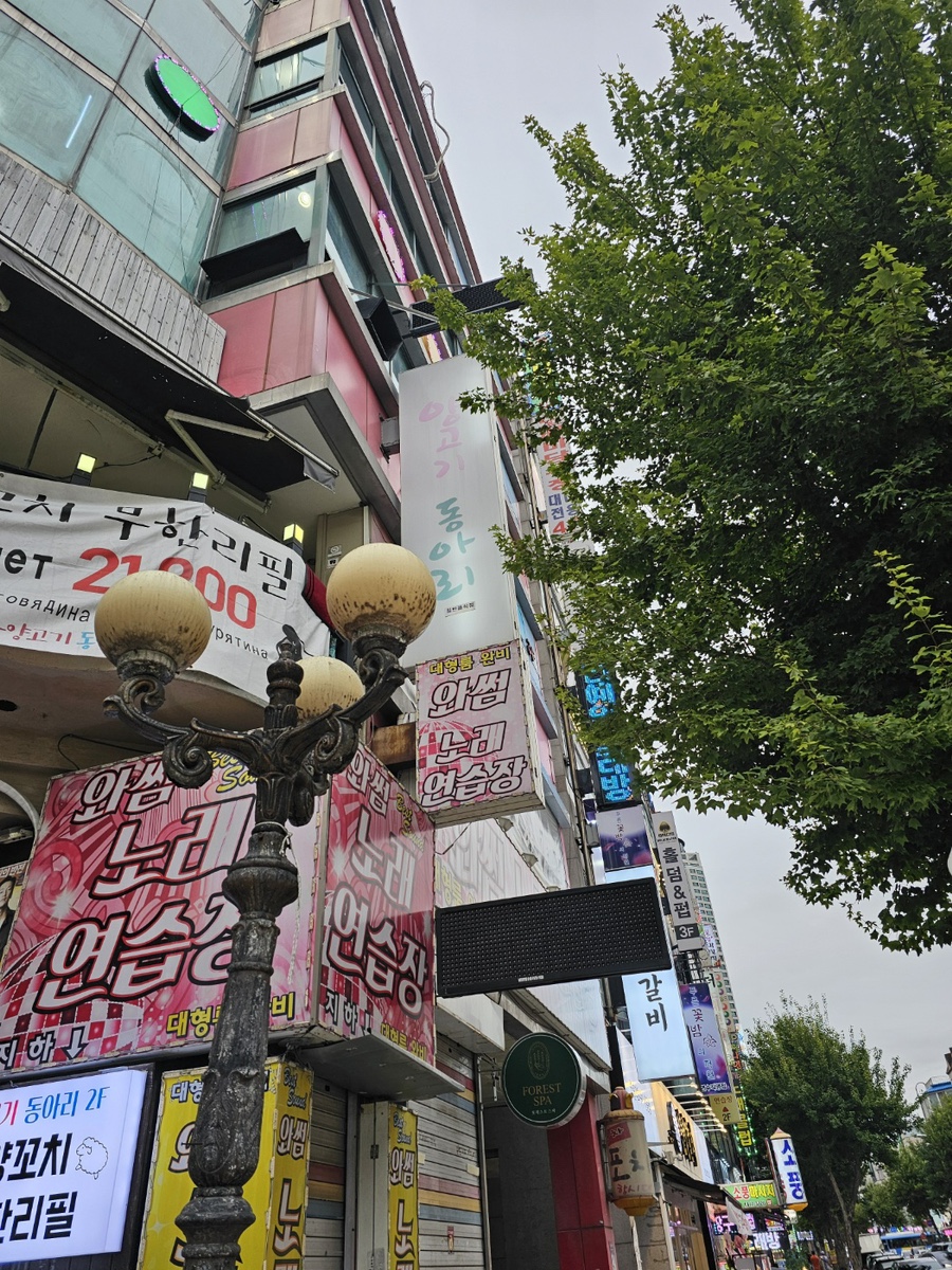 양고기동아리 이미지