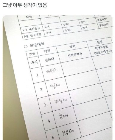 마루 이미지