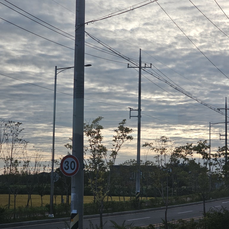 알프스식품(주) 이미지