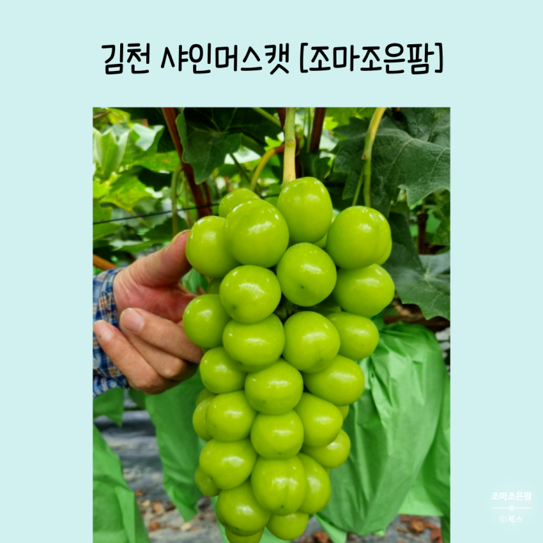 조은팜 이미지