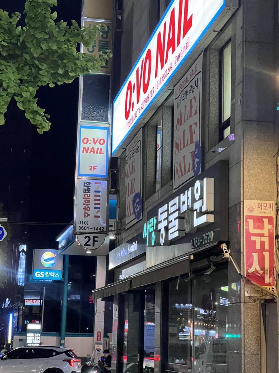오보네일 이미지
