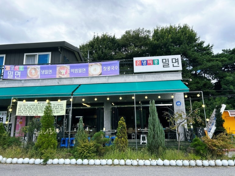 온냉비콩 이미지
