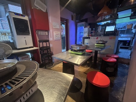 베트남돼지 사진 6