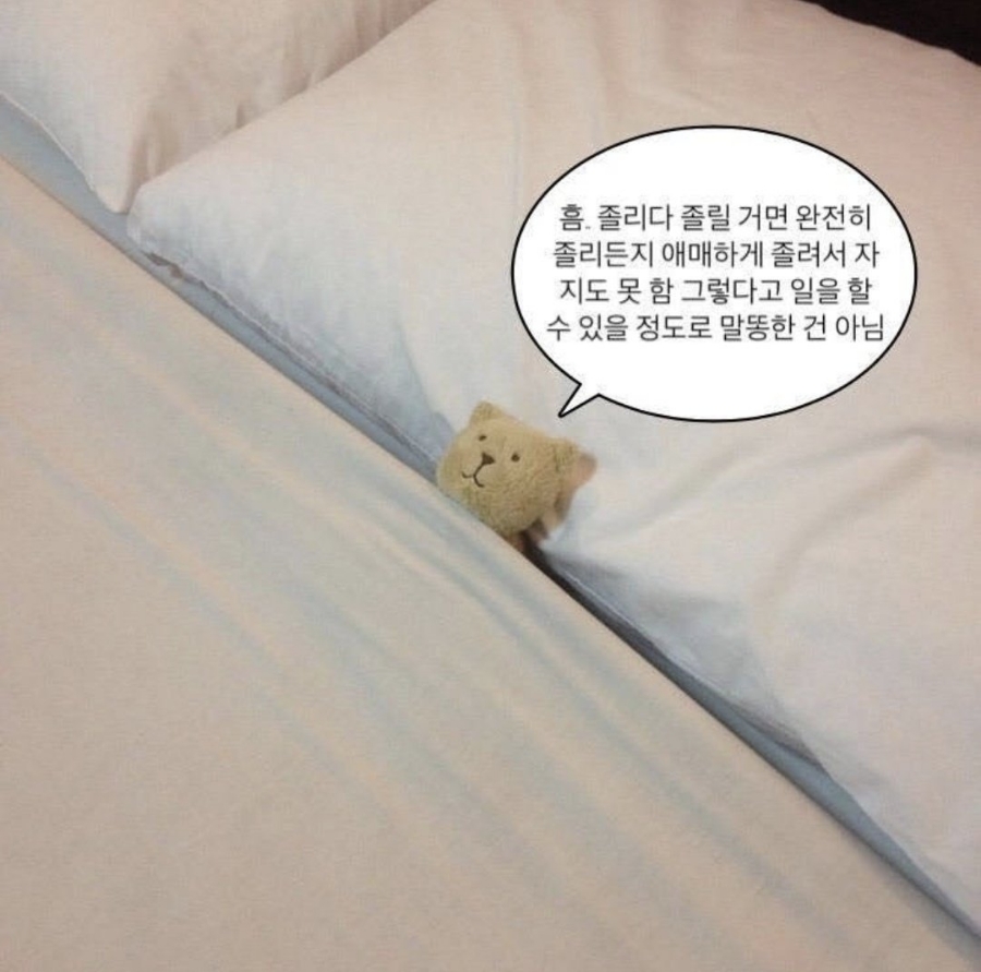 바니바니 이미지