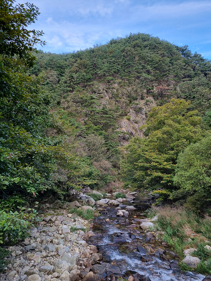 소백산국립공원 남천야영장 이미지