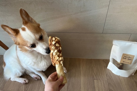 벨라스키친 이미지