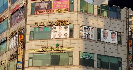 미래모 이미지