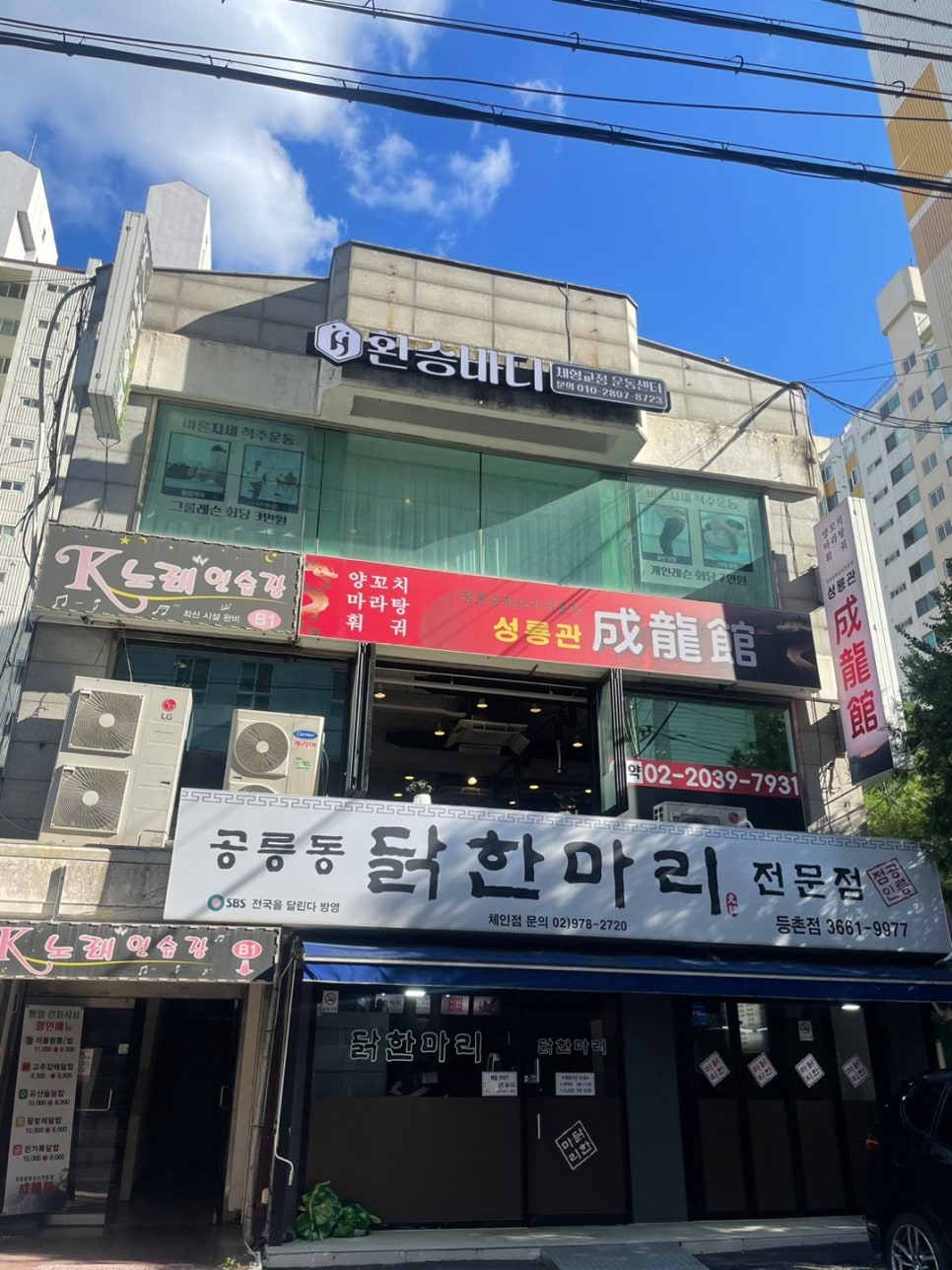 환승바디 이미지