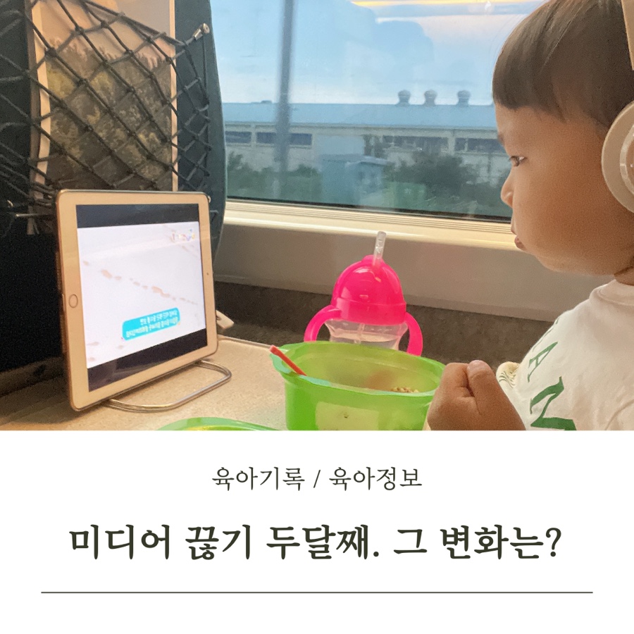 연주스럽게 이미지