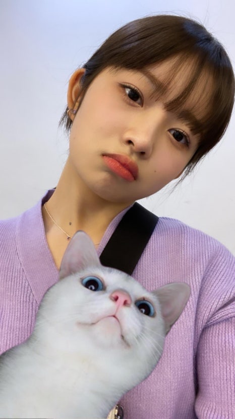 취향 이미지