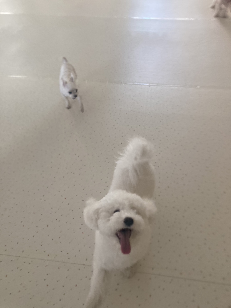 우리에너지주 이미지