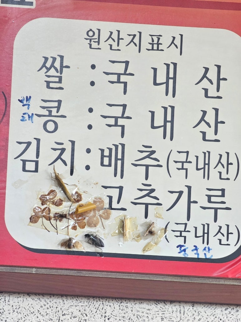 영양콩손칼국수 이미지