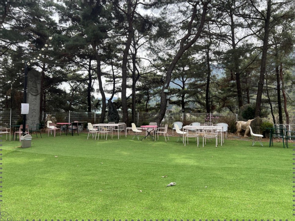 블링독793 이미지