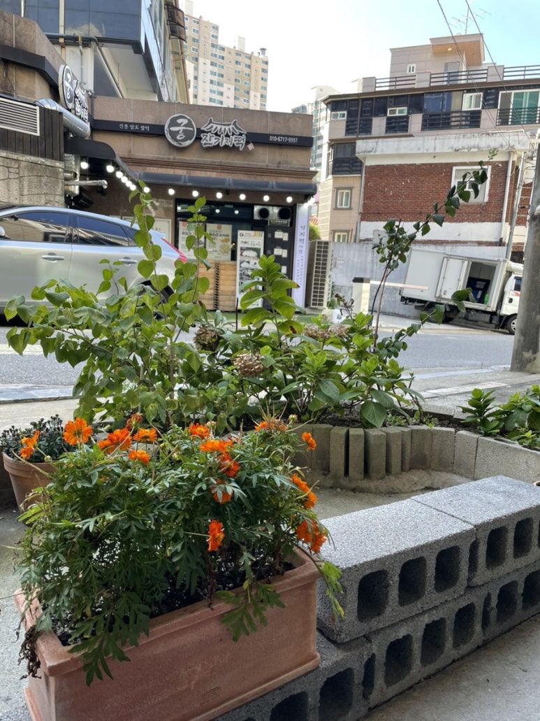 당신의달 이미지