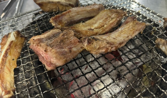 뼈대일주 이미지