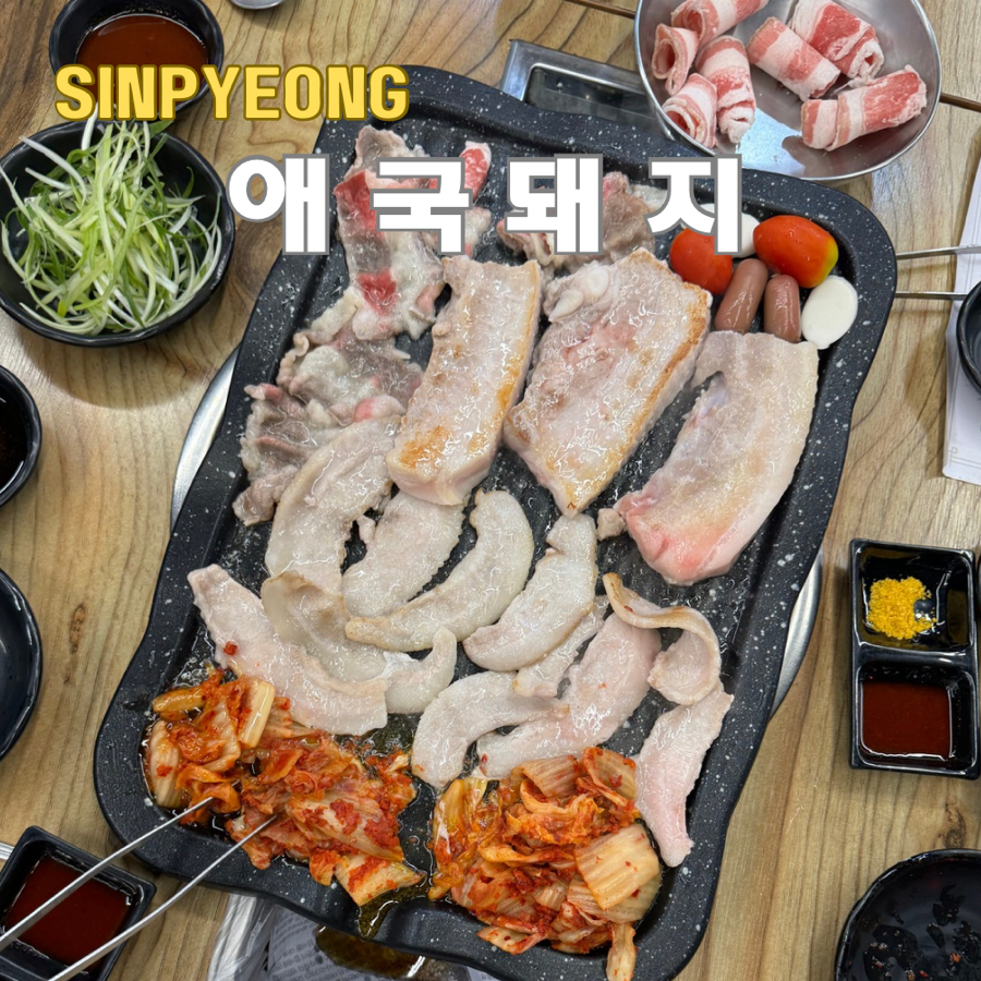 애국돼지 이미지