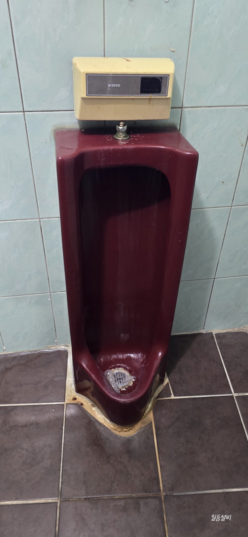 토토당구장 이미지
