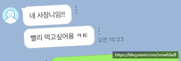 세이비건 이미지