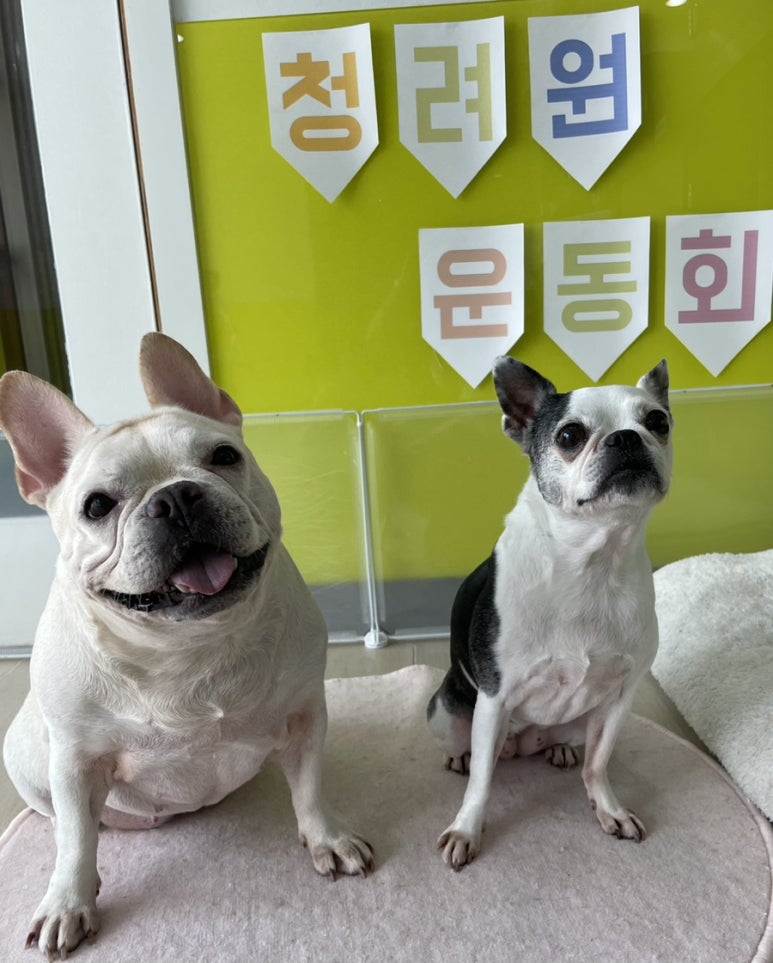 청려원 이미지