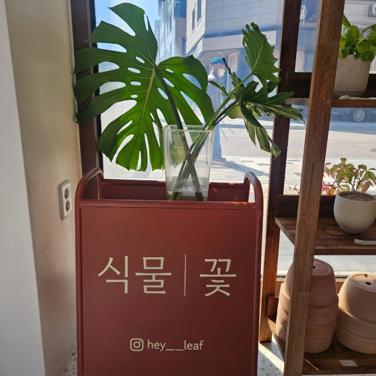 헤이리프 이미지