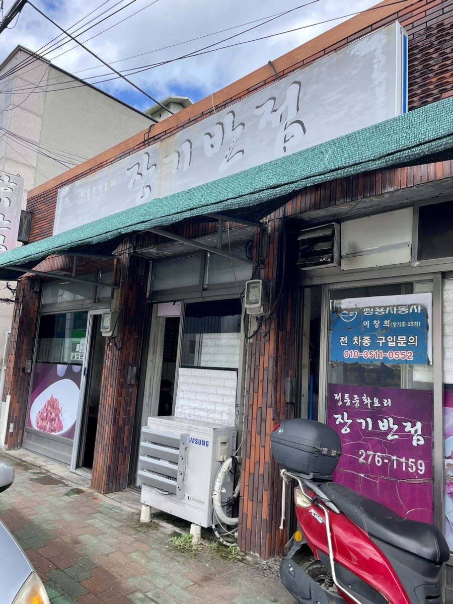 장기반점 이미지