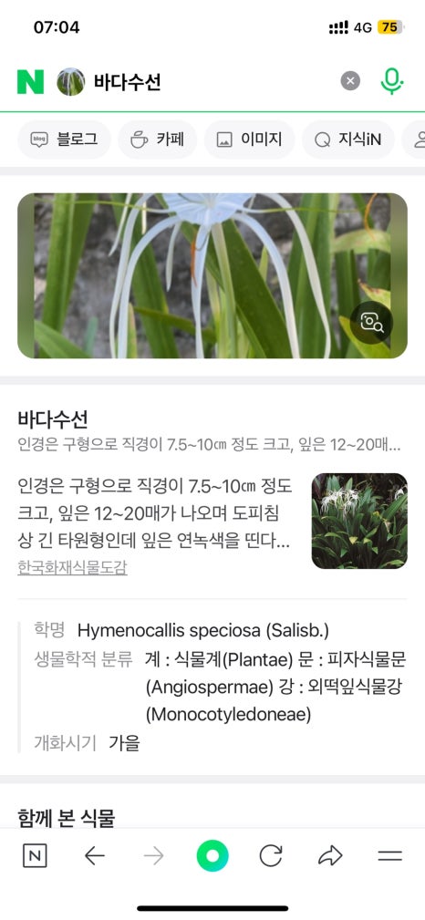 엄마수선 이미지