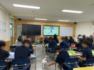 효정중학교 이미지