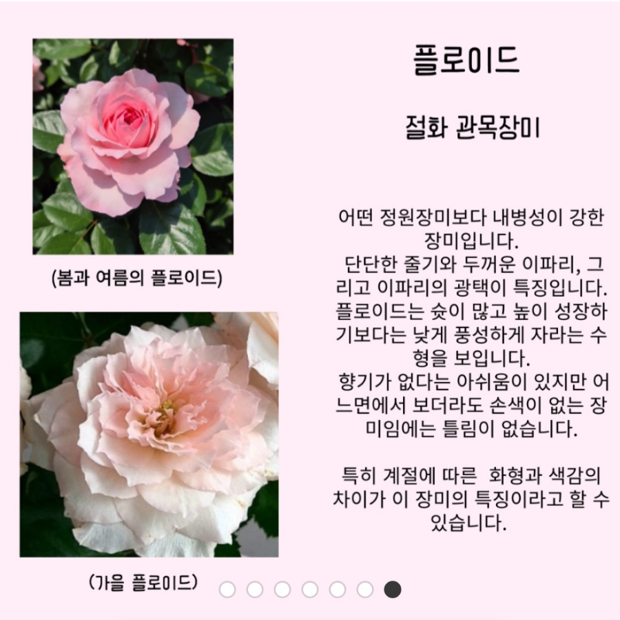 인챈트먼트 이미지