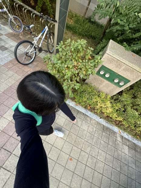 찍사유 이미지