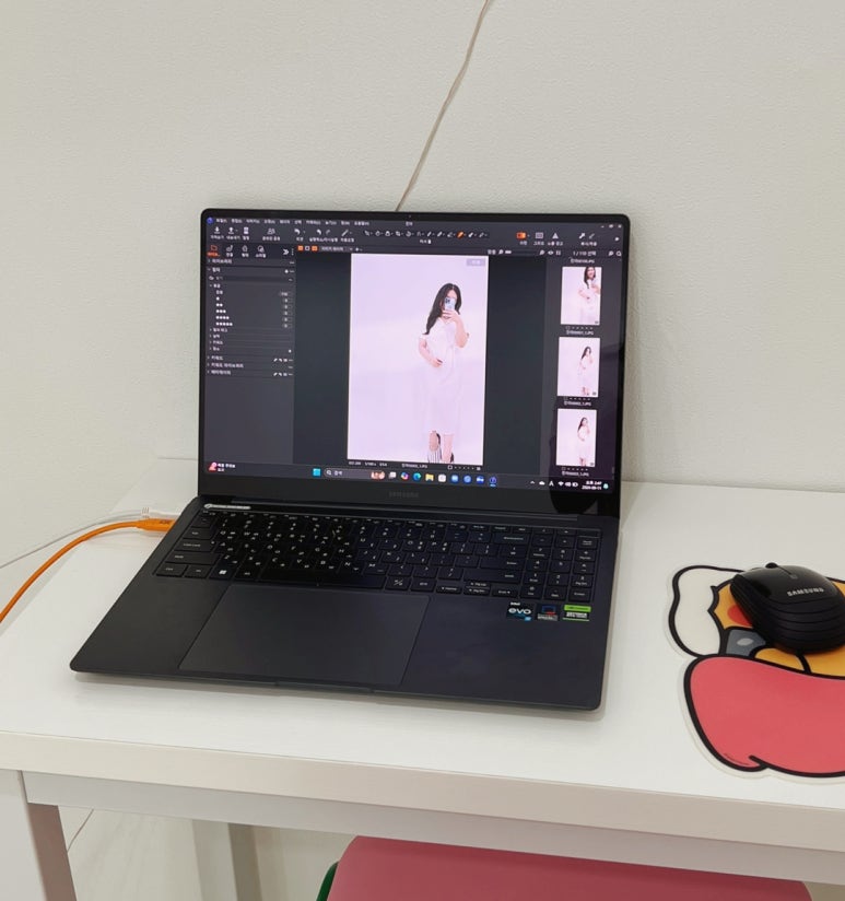 파티또예 이미지