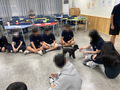 효정중학교 이미지