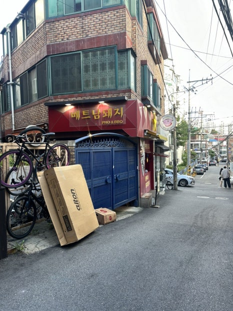 베트남돼지 사진 3