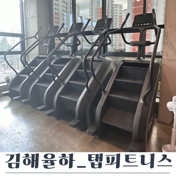탭피트니스 이미지