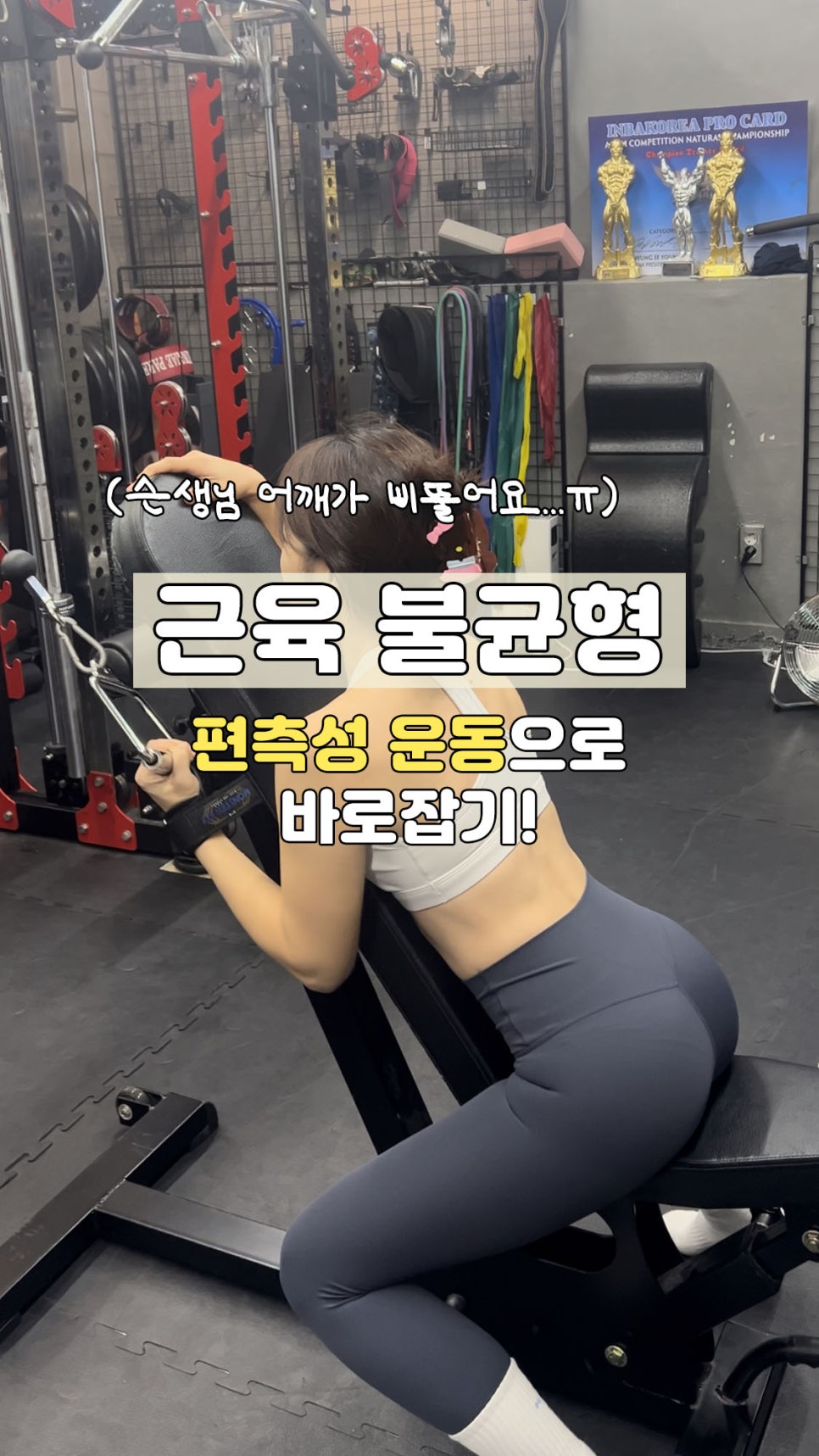 바오핏가락문정 이미지