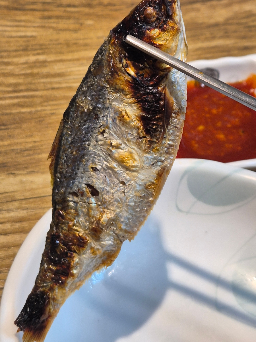 힘찬갯벌낙지 사진 8