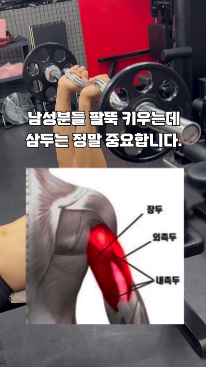 바오핏가락문정 이미지
