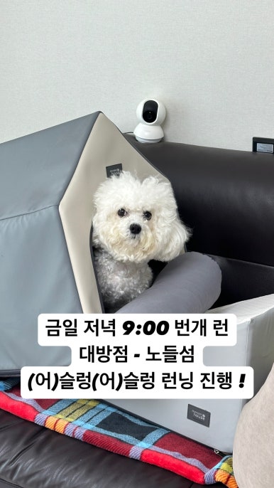 크로스핏모브 이미지