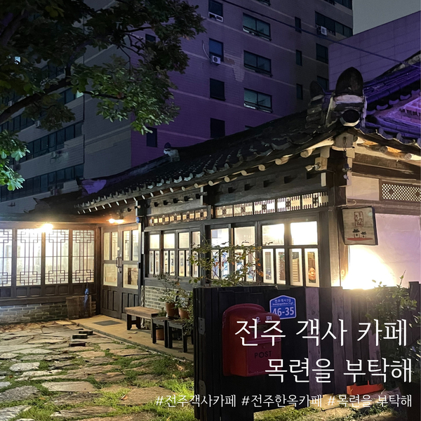 목련을부탁해 이미지