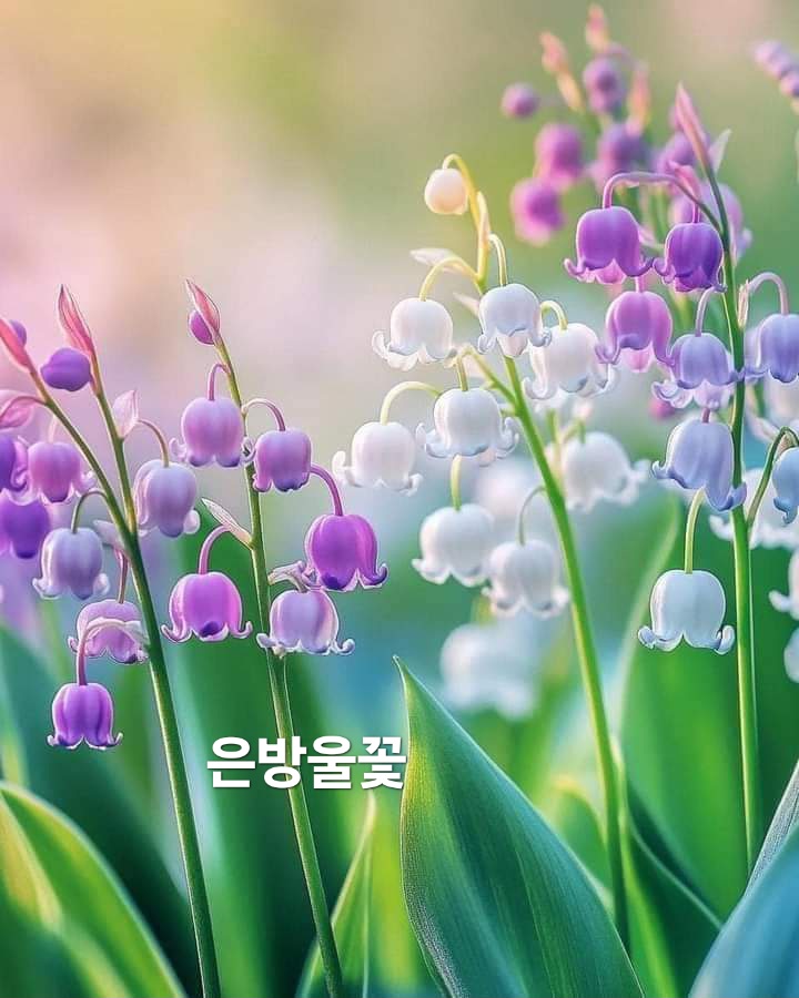 빛나는오늘 이미지