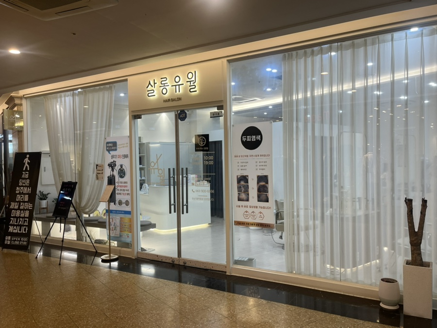 살롱유월 이미지