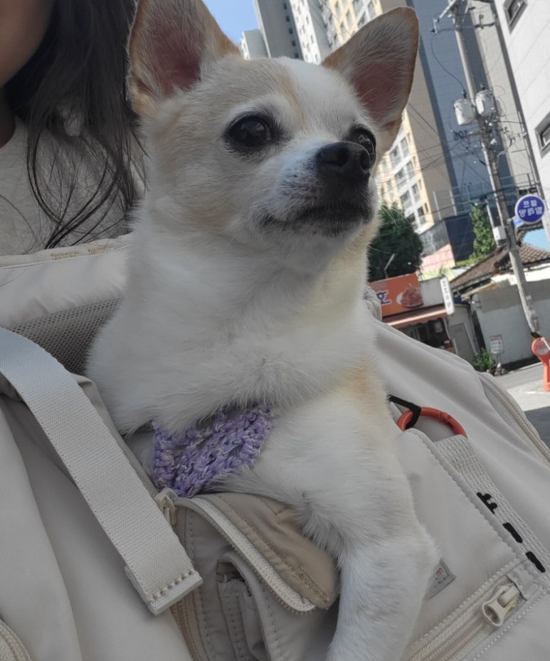 텐마일 이미지
