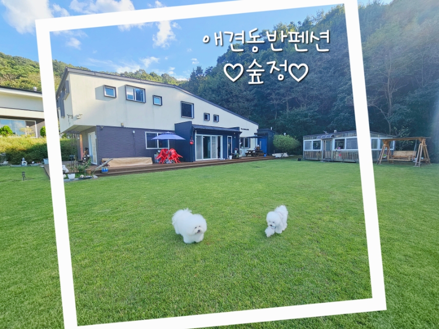 숲정 이미지