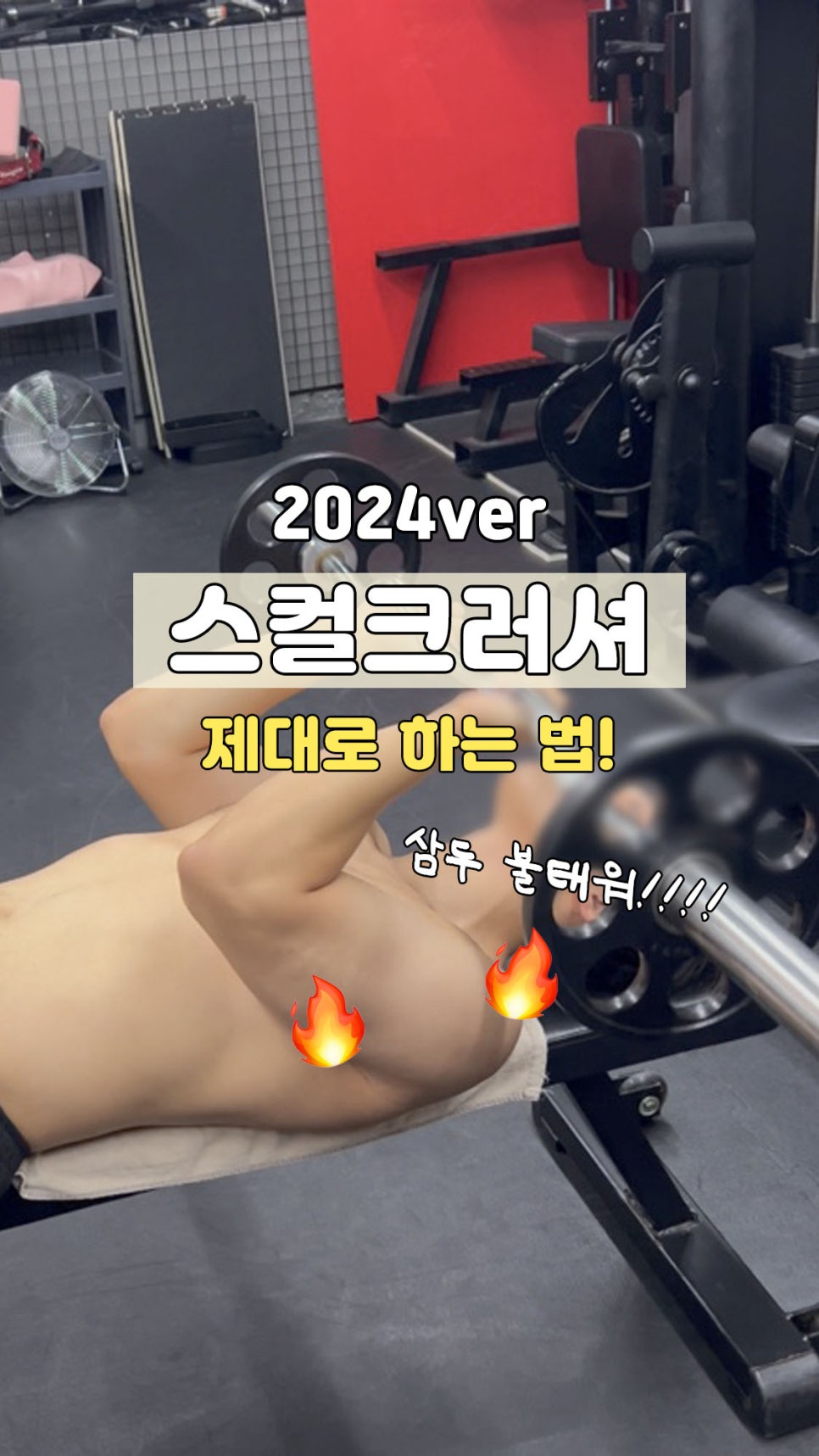 바오핏가락문정 이미지