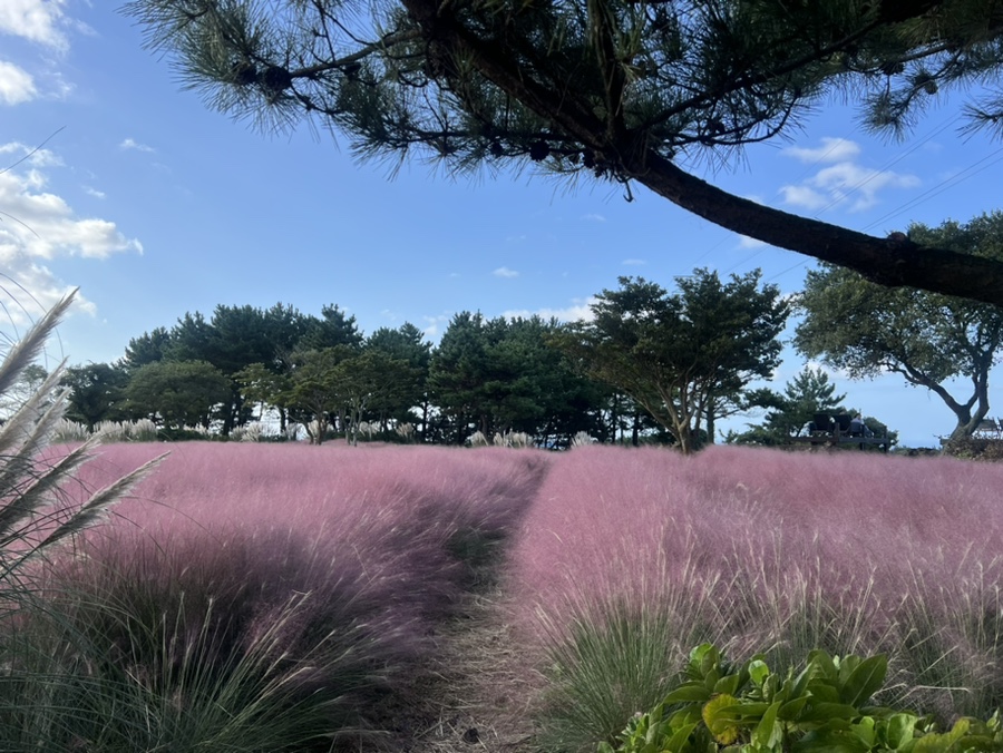 동산텔레콤 이미지