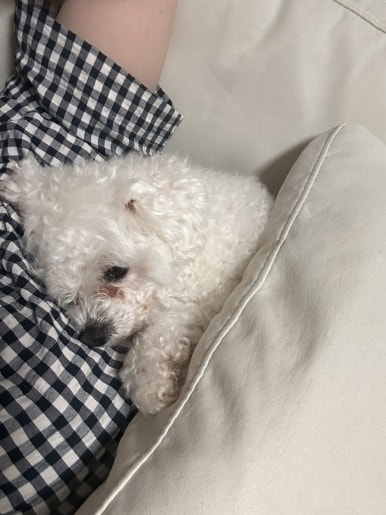 미소랑푸드 이미지