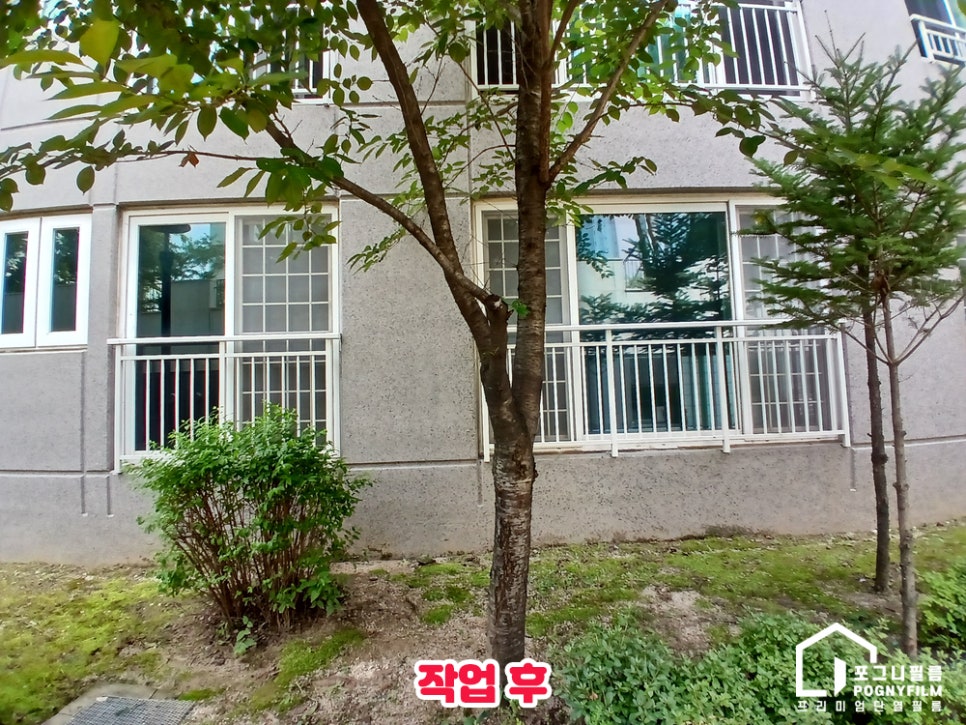 라온필름 이미지