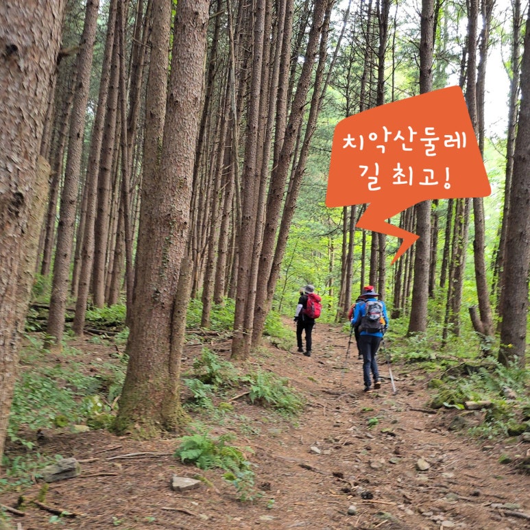 동서울고속주유소 이미지